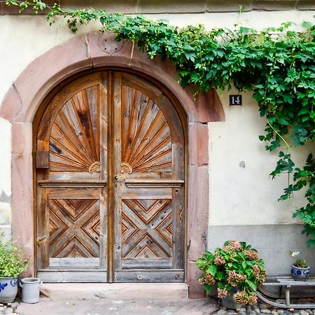 Appartamento Chaud'Vin Kaysersberg-Vignoble Esterno foto