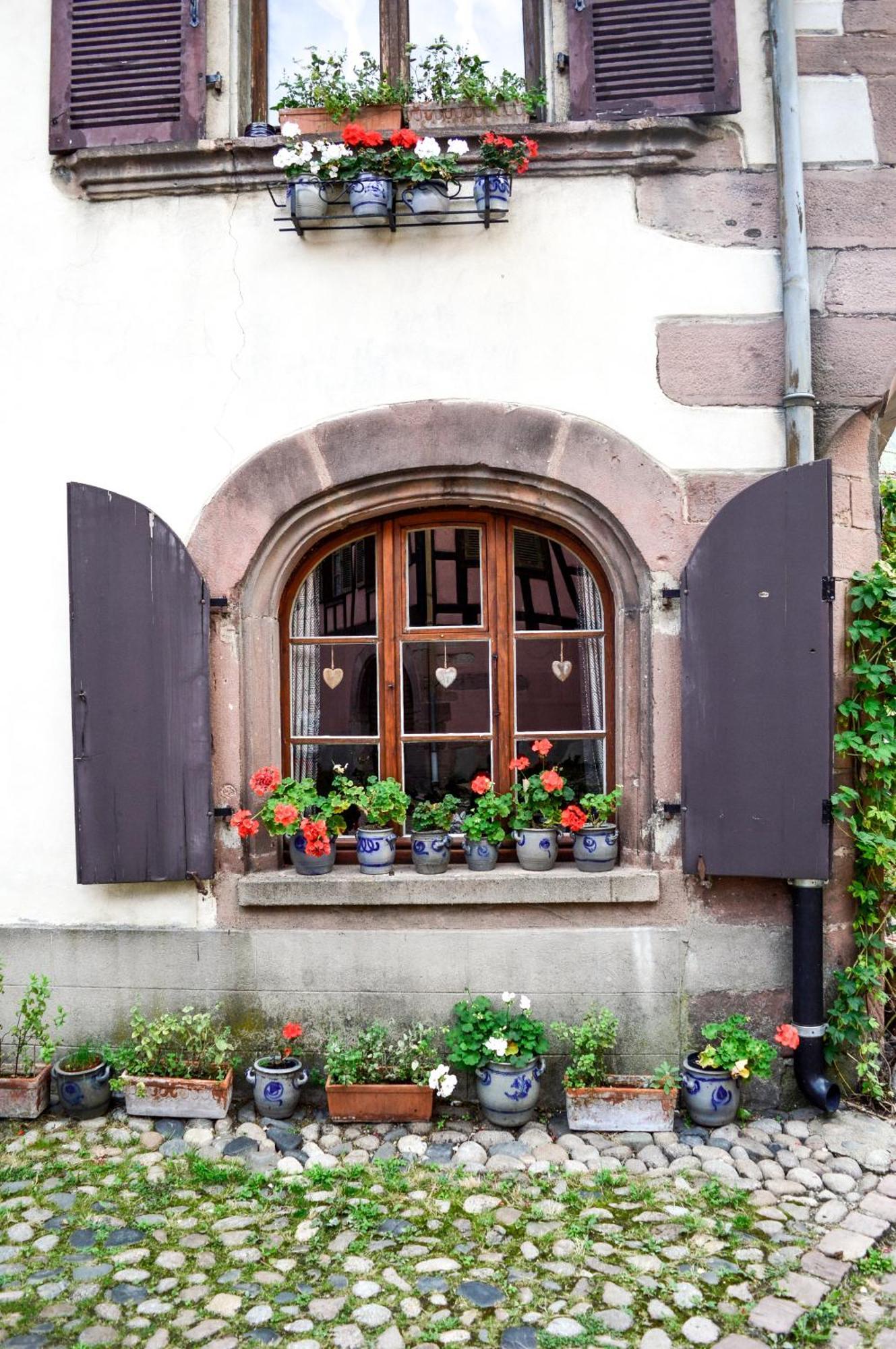 Appartamento Chaud'Vin Kaysersberg-Vignoble Esterno foto
