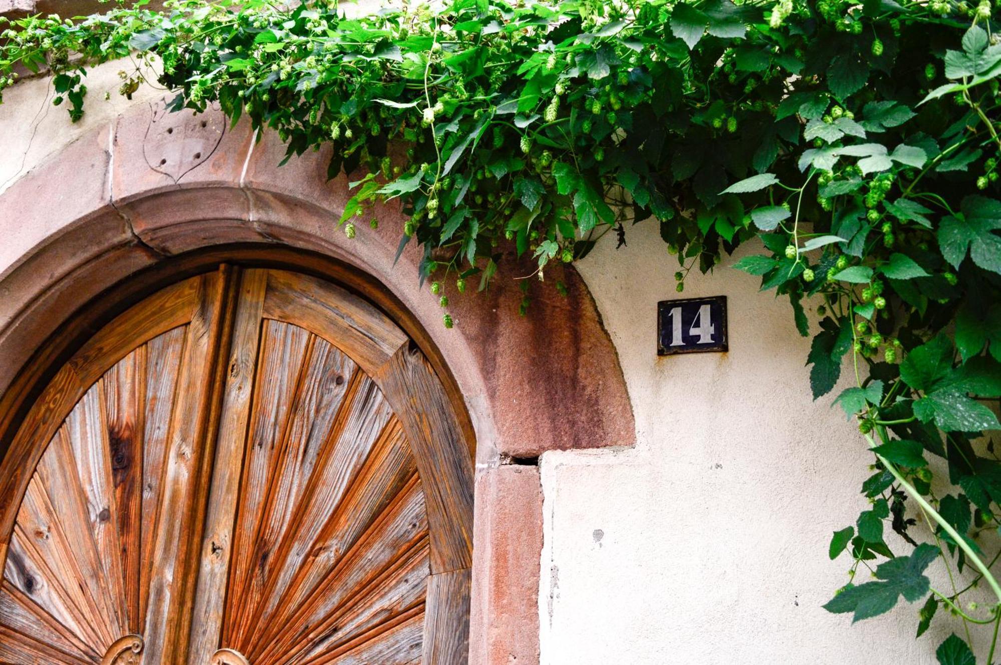 Appartamento Chaud'Vin Kaysersberg-Vignoble Esterno foto